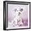 Daysha-Rachael Hale-Framed Photographic Print