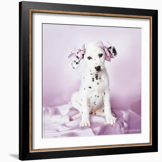 Daysha-Rachael Hale-Framed Photographic Print