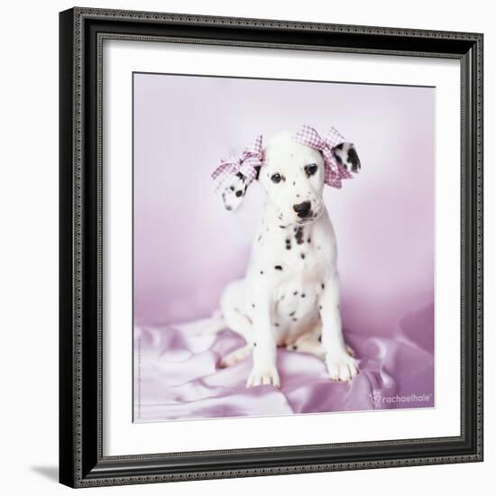 Daysha-Rachael Hale-Framed Photographic Print