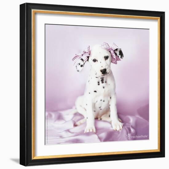 Daysha-Rachael Hale-Framed Photographic Print