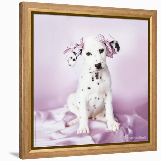 Daysha-Rachael Hale-Framed Premier Image Canvas