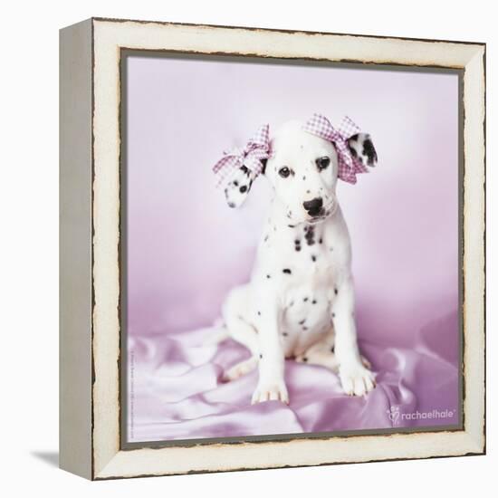 Daysha-Rachael Hale-Framed Premier Image Canvas