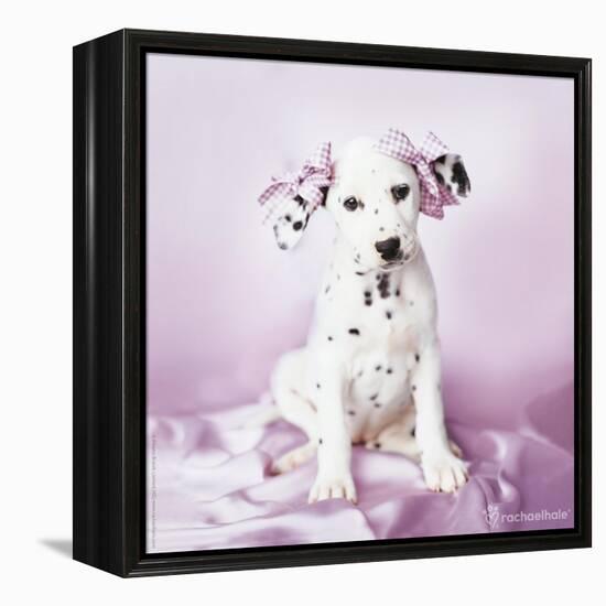 Daysha-Rachael Hale-Framed Premier Image Canvas