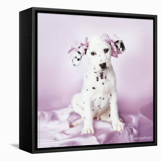 Daysha-Rachael Hale-Framed Premier Image Canvas