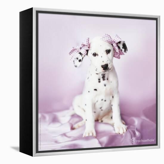 Daysha-Rachael Hale-Framed Premier Image Canvas