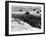 Daytona Beach Road Race-null-Framed Photo