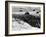 Daytona Beach Road Race-null-Framed Photo