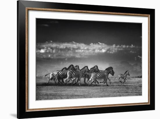 Dazzle-Bobbie Goodrich-Framed Giclee Print