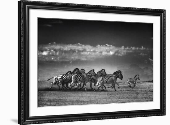 Dazzle-Bobbie Goodrich-Framed Giclee Print