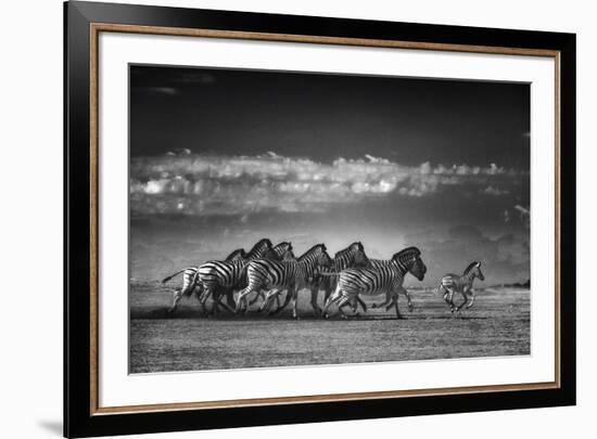 Dazzle-Bobbie Goodrich-Framed Giclee Print