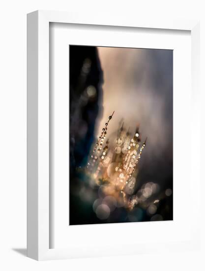 Dazzle-Ursula Abresch-Framed Photographic Print