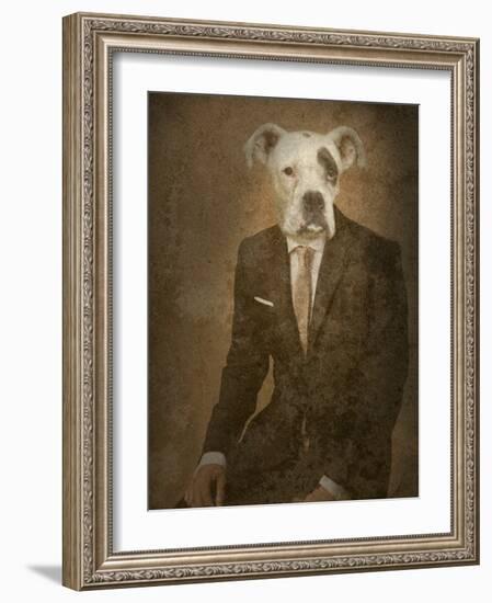 Dazzleblab-Lynne Davies-Framed Photographic Print