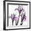 Dazzling Iris-Albert Koetsier-Framed Photographic Print