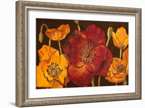 Dazzling Poppies I (Black)-Josefina-Framed Art Print