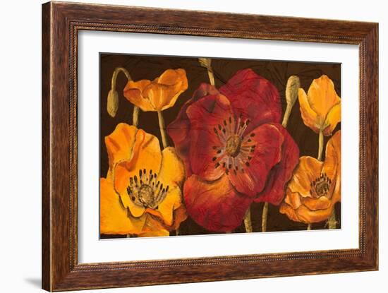 Dazzling Poppies I (Black)-Josefina-Framed Art Print