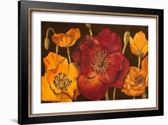 Dazzling Poppies I (Black)-Josefina-Framed Art Print