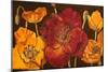 Dazzling Poppies I (Black)-Josefina-Mounted Art Print