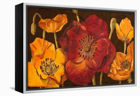 Dazzling Poppies I (Black)-Josefina-Framed Stretched Canvas