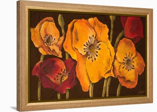 Dazzling Poppies II (Black)-Josefina-Framed Stretched Canvas