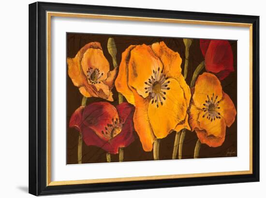 Dazzling Poppies II (Black)-Josefina-Framed Art Print