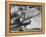 DC-3, Union Air Terminal, Burbank, California 1935-null-Framed Stretched Canvas