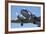 DC3 (Douglas C-47 Dakota), Airshow-David Wall-Framed Photographic Print