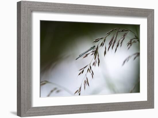 DDD-A Piece Of Nature-Mathieu Rivrin-Framed Photographic Print