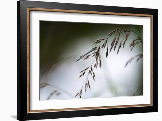 DDD-A Piece Of Nature-Mathieu Rivrin-Framed Photographic Print