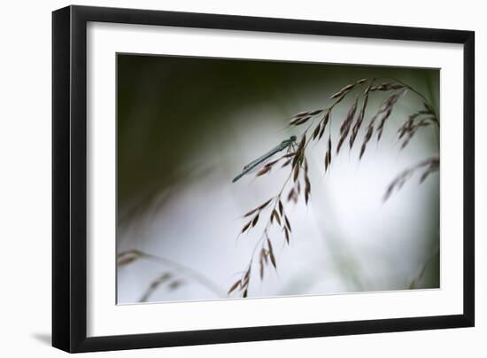 DDD-A Piece Of Nature-Mathieu Rivrin-Framed Photographic Print