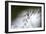 DDD-A Piece Of Nature-Mathieu Rivrin-Framed Photographic Print