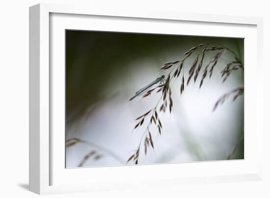 DDD-A Piece Of Nature-Mathieu Rivrin-Framed Photographic Print