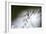 DDD-A Piece Of Nature-Mathieu Rivrin-Framed Photographic Print