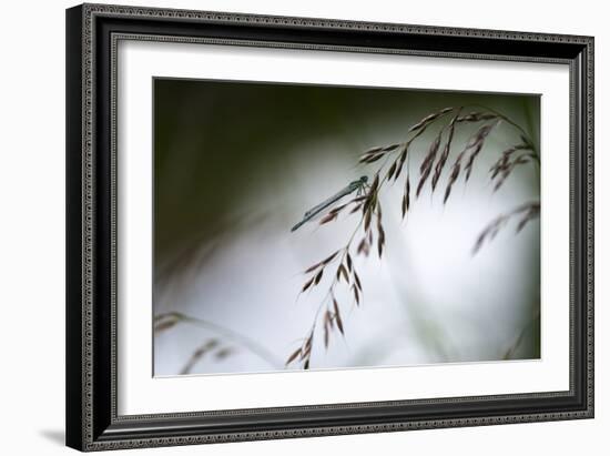 DDD-A Piece Of Nature-Mathieu Rivrin-Framed Photographic Print