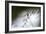 DDD-A Piece Of Nature-Mathieu Rivrin-Framed Photographic Print