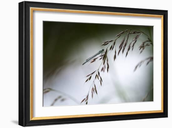 DDD-A Piece Of Nature-Mathieu Rivrin-Framed Photographic Print