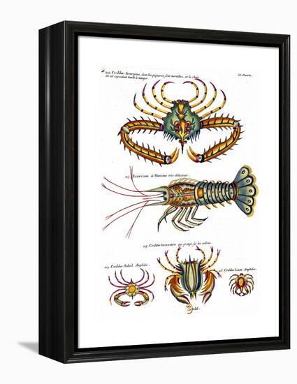 De haut en bas: crabe et scorpion dangereux mais comestible, écrevisse de Hourive-null-Framed Premier Image Canvas