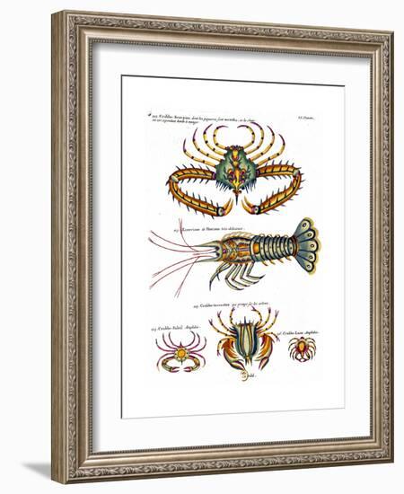 De haut en bas: crabe et scorpion dangereux mais comestible, écrevisse de Hourive-null-Framed Giclee Print