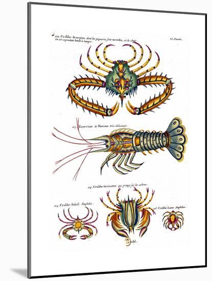 De haut en bas: crabe et scorpion dangereux mais comestible, écrevisse de Hourive-null-Mounted Giclee Print