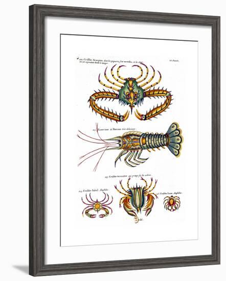 De haut en bas: crabe et scorpion dangereux mais comestible, écrevisse de Hourive-null-Framed Giclee Print