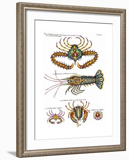 De haut en bas: crabe et scorpion dangereux mais comestible, écrevisse de Hourive-null-Framed Giclee Print