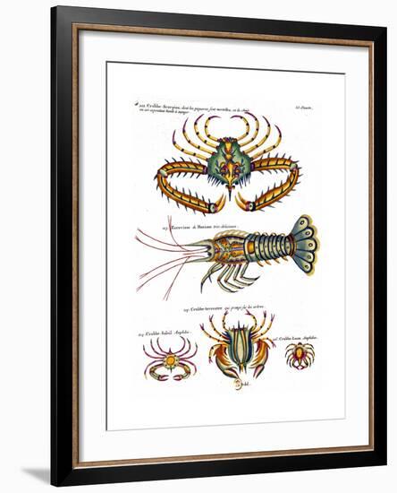 De haut en bas: crabe et scorpion dangereux mais comestible, écrevisse de Hourive-null-Framed Giclee Print