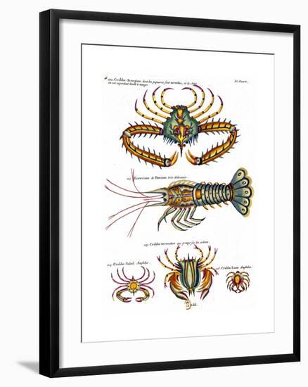 De haut en bas: crabe et scorpion dangereux mais comestible, écrevisse de Hourive-null-Framed Giclee Print