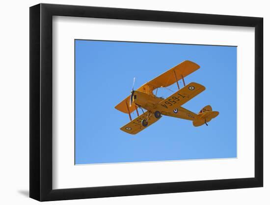 De Havilland Dh 82A Tiger Moth Biplane, Warbirds over Wanaka, Airshow, New Zealand-David Wall-Framed Photographic Print