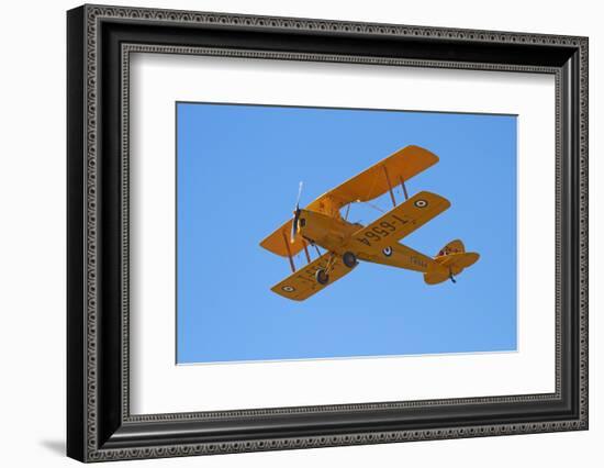 De Havilland Dh 82A Tiger Moth Biplane, Warbirds over Wanaka, Airshow, New Zealand-David Wall-Framed Photographic Print