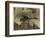 De Marco Shack for Cranberry Pickers at Forsythe's Bog-Lewis Wickes Hine-Framed Photographic Print