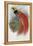 De Vis's Bird of Paradise-John Gould-Framed Stretched Canvas