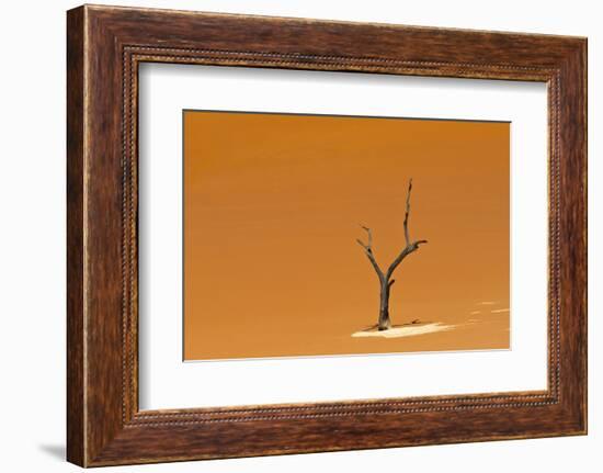 Dead acacia trees in Deadvlei, Sossusvlei, Namib-Naukluft National Park, southern Narim Desert-Keren Su-Framed Photographic Print