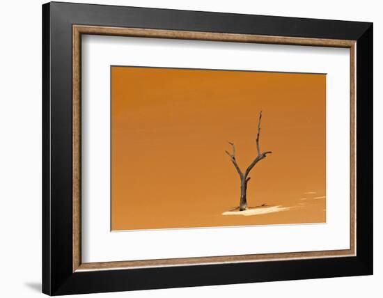 Dead acacia trees in Deadvlei, Sossusvlei, Namib-Naukluft National Park, southern Narim Desert-Keren Su-Framed Photographic Print