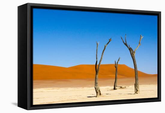 Dead Acacia trees in Deadvlei, Sossusvlei, Namib-Naukluft NP, southern Narim Desert, Namibia-Keren Su-Framed Premier Image Canvas