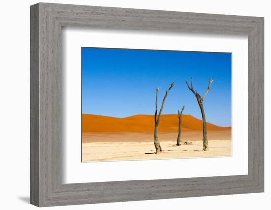 Dead Acacia trees in Deadvlei, Sossusvlei, Namib-Naukluft NP, southern Narim Desert, Namibia-Keren Su-Framed Photographic Print